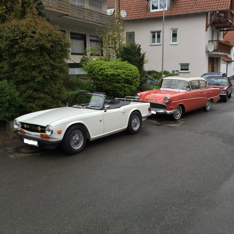 21798627zm.jpg