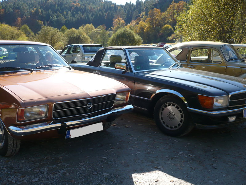 30696545dy.jpg